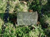 image of grave number 393578